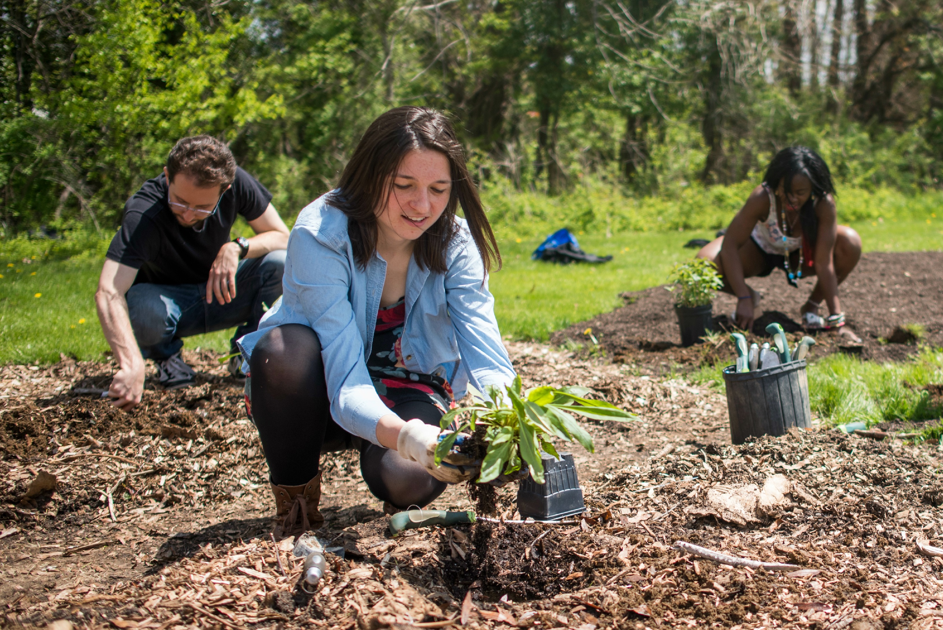 Students planting trees outdoors.