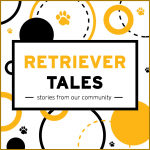 Black and gold paws and circles surrounding the words "Retriever Tales: Stories from Our Community".
